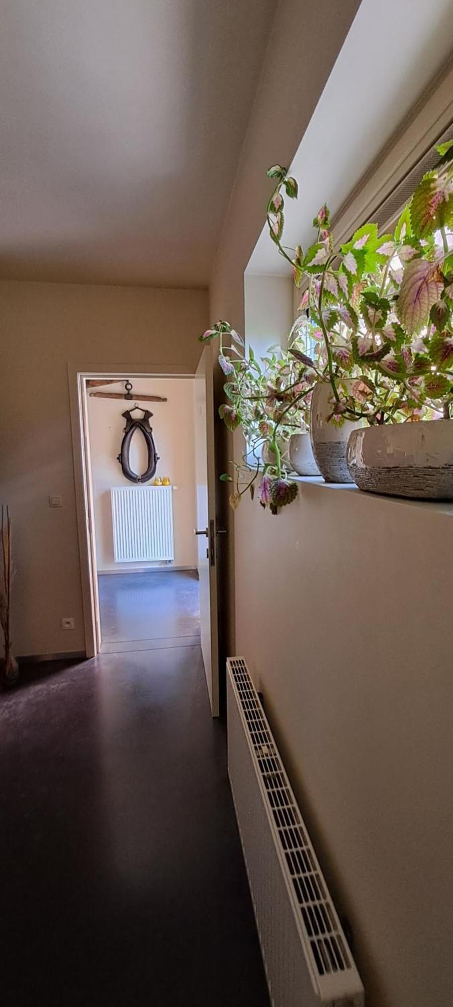 B&B Euverbraeke Беверен Экстерьер фото