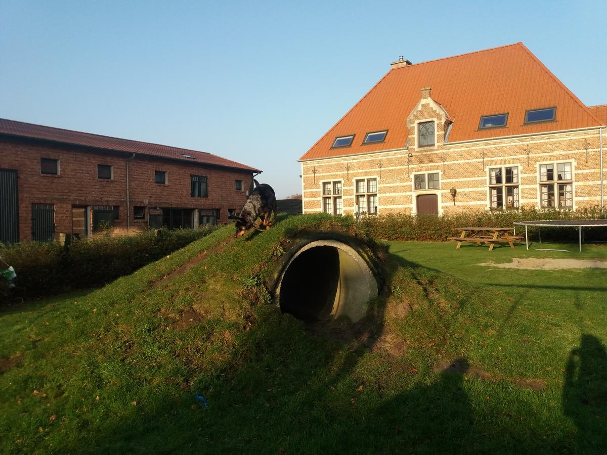 B&B Euverbraeke Беверен Экстерьер фото